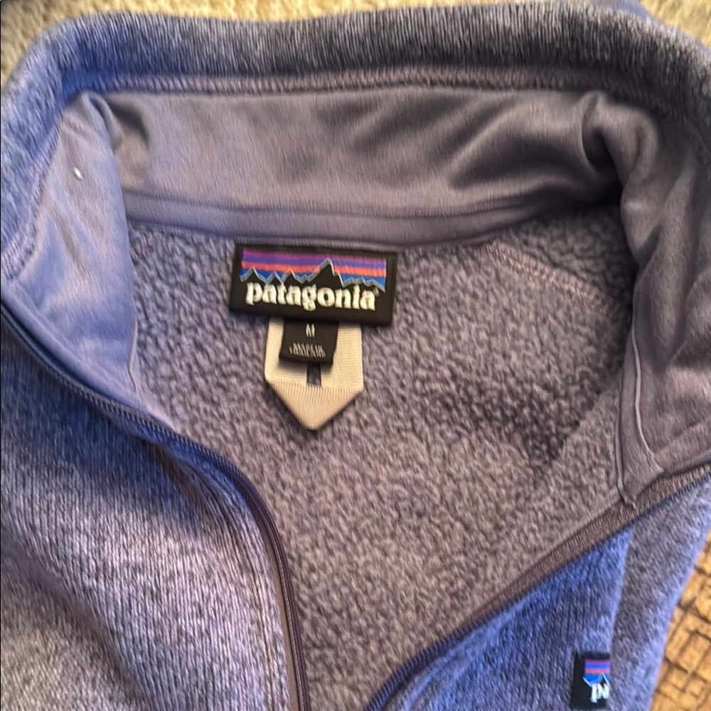 Patagonia Lavender Fleece Pullover